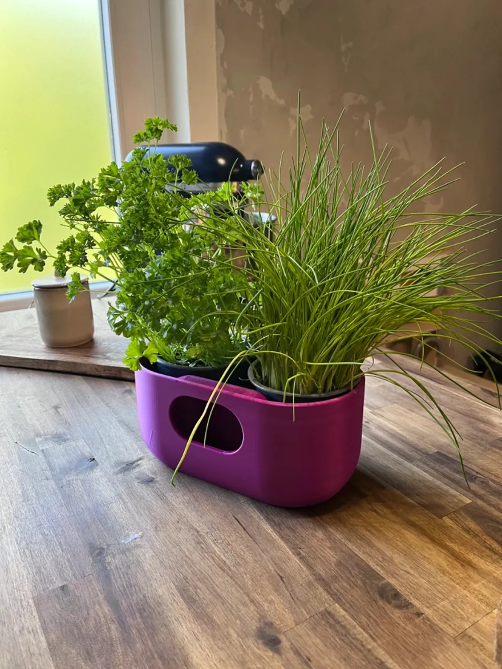 Modern Self Watering Planter